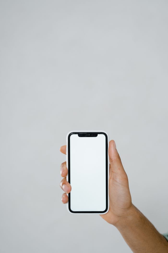 services-01 A hand holding a smartphone with a blank screen, offering extensive copyspace.